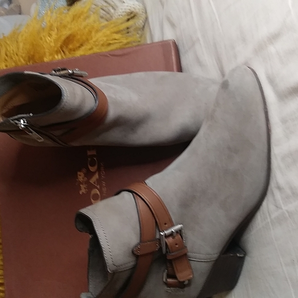 Coach Shoes - Coach Pauline Slate Buckle Women's Ankle Boot